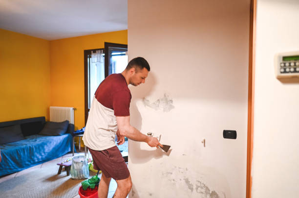 Best Certified Mold Removal  in Machesney Park, IL